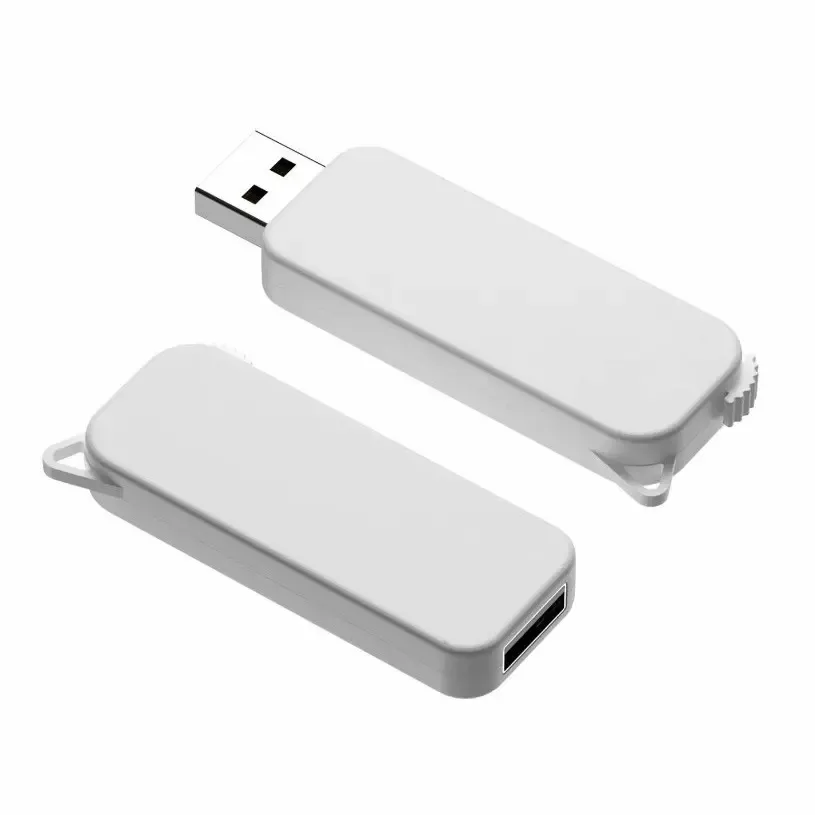 bst1108gb_bst110-1-webp.webp Pen Drive Retractil 8 GB - Imagen 1