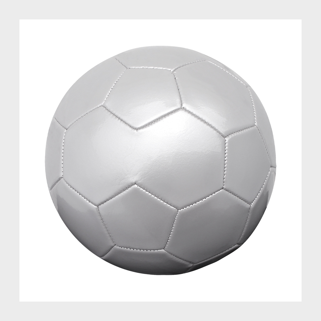 Balón de Fútbol Nº5